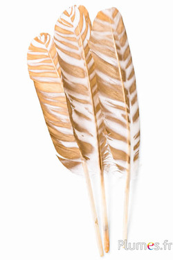 Zwaan model 1 - 30-33 cm - wit-goud
